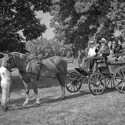 Reportage mariage, photo de la calèche à l'arrivée des mariés