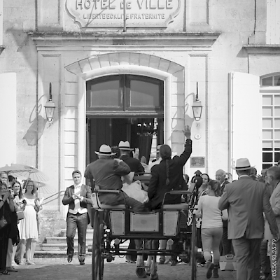 Reportage mariage, photo de la calèche à l'arrivée des mariés