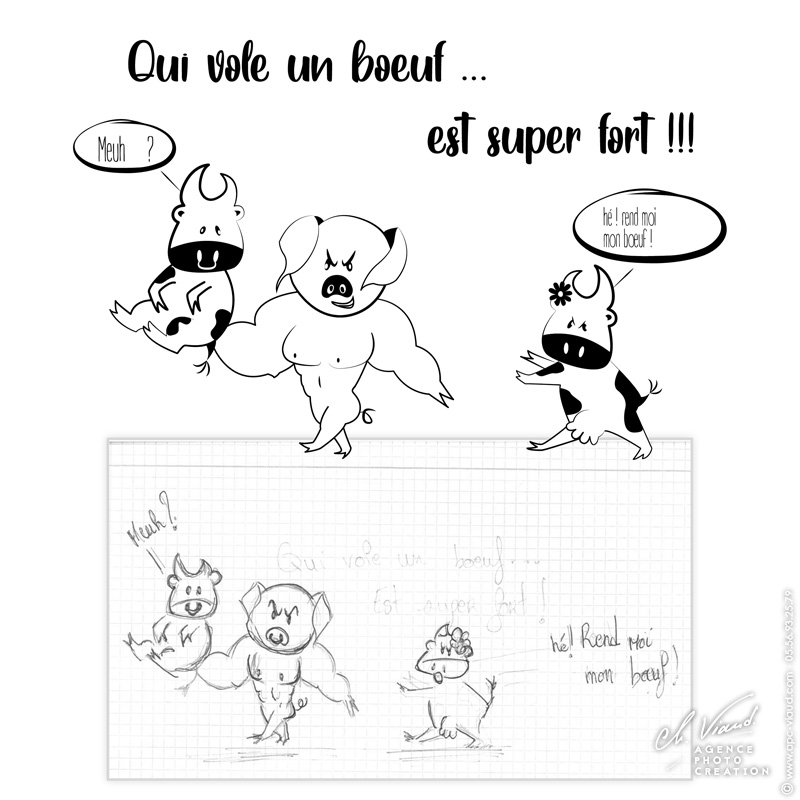 Création et impression d'illustration en adhésif pour un boucher charcutier