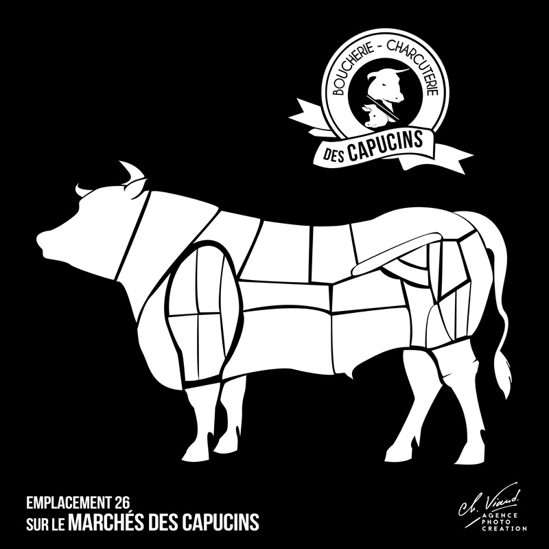 Création d'animation illustrative d'un boeuf et des morceaux de viandes qui le compose