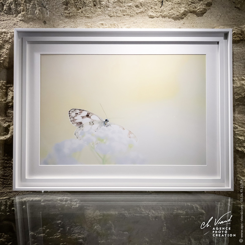 Encadrement d'une photo d'art avec caisse américaine, passe-partout en PH neutre et verre invisible